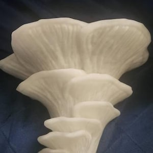 Etsy-Käufer:in hat ein Foto des gekauften Artikels hinzugefügt