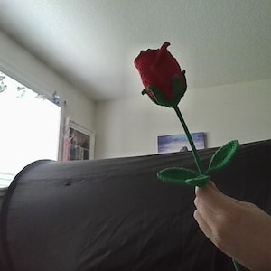Smith added a photo of their purchase