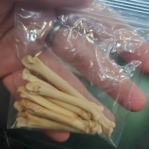Bubz added a photo of their purchase