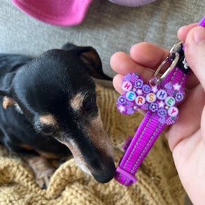 Abby added a photo of their purchase