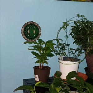 CG added a photo of their purchase