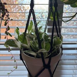 Shelby ha añadido una foto de su compra
