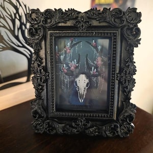 Molly added a photo of their purchase