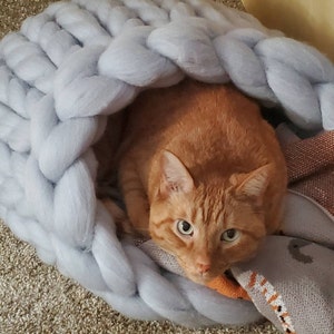 Rachel added a photo of their purchase