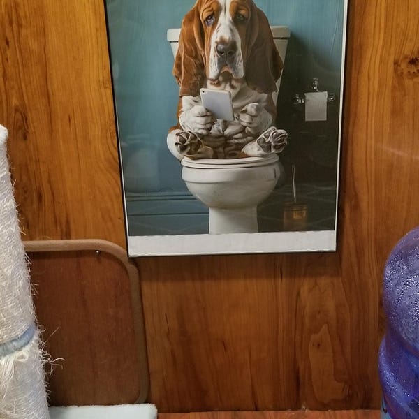 Labrador, Reading Newspaper, Toilet, Dogs, Bathroom, Cute, Funny, Wall ...