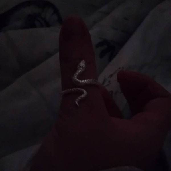 Silver Embrace Ring