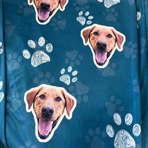 Marilyn added a photo of their purchase