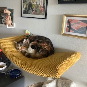 Baxter added a photo of their purchase