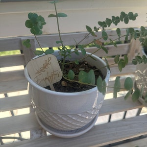 McKenzie added a photo of their purchase