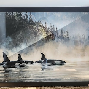 Alice added a photo of their purchase