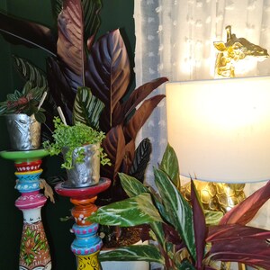 Maria added a photo of their purchase