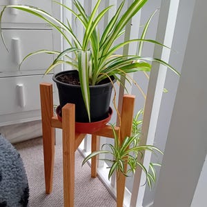 Louise hat ein Foto des gekauften Artikels hinzugefügt
