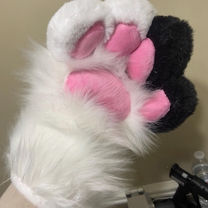 somberpaws heeft een foto van de aankoop toegevoegd