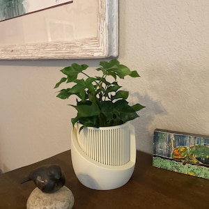Tina added a photo of their purchase