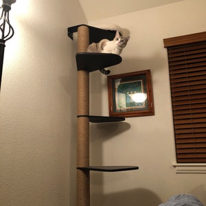 Miki added a photo of their purchase