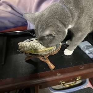 Scott added a photo of their purchase