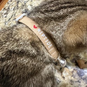 Allison added a photo of their purchase