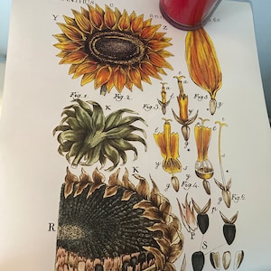 Alexandra さんが購入した商品の写真を追加しました