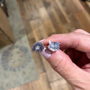 Michelle added a photo of their purchase