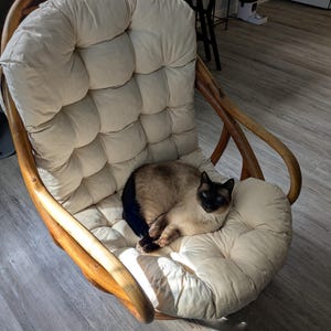 Aysia added a photo of their purchase