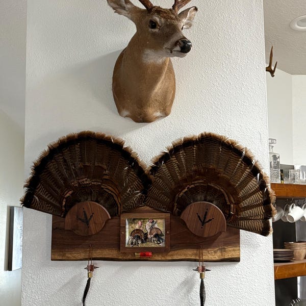Turkey Fan Display: Pennsylvania Black Walnut, Beard/spurs & Photo - Etsy