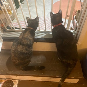 Mary added a photo of their purchase