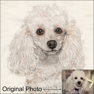 Di hat ein Foto des gekauften Artikels hinzugefügt