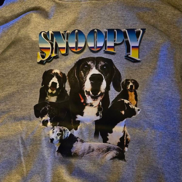 Varsity Sweatshirt