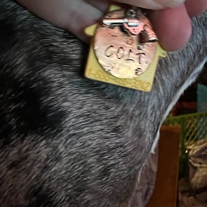 Dina added a photo of their purchase