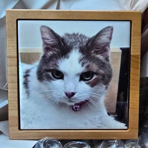 Loriann ha añadido una foto de su compra