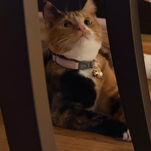 Vivian hat ein Foto des gekauften Artikels hinzugefügt