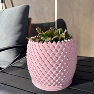 Tarryn ha añadido una foto de su compra