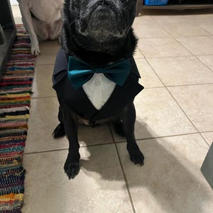 Mackenzie ha añadido una foto de su compra