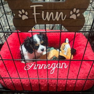 Kristy added a photo of their purchase