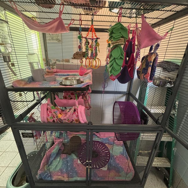 8 Piece Sugar Glider Cage Set/sugar Glider Accessories/starry Night - Etsy - Sugar Glider Cage Shiny Objects