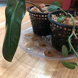 Angie added a photo of their purchase
