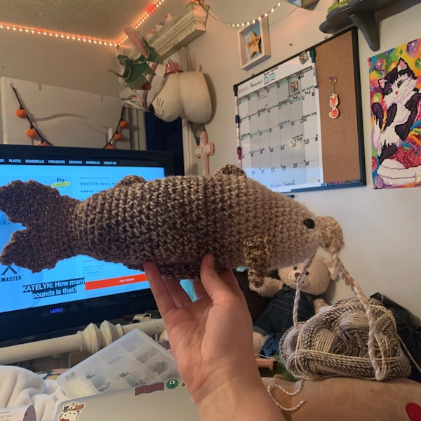 Catfish Crochet Pattern PDF - Etsy