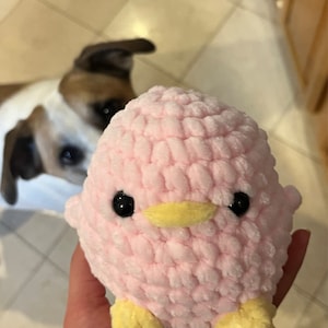 belle added a photo of their purchase