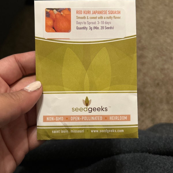 Red Kuri Japanese Winter Squash Heirloom Seeds - Etsy