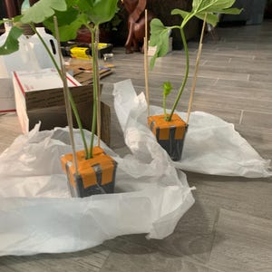 Nita added a photo of their purchase