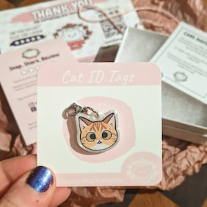What to Put on Cat Id Tag: Essential Info for Your Cat’s Safety