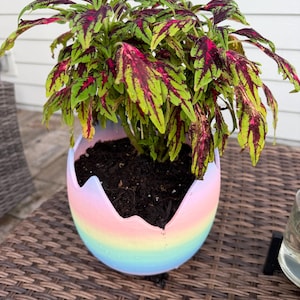 Katie added a photo of their purchase