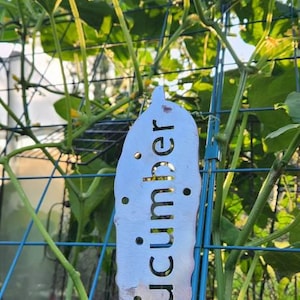 Kazuha added a photo of their purchase