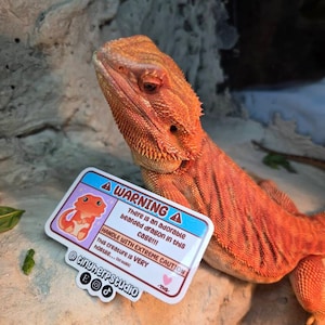 Kari added a photo of their purchase