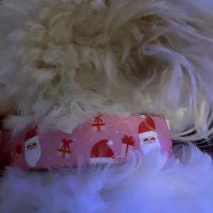 Maura a ajouté une photo de son achat