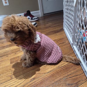 Sabrina added a photo of their purchase