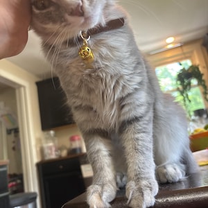 starrfae added a photo of their purchase
