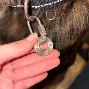 Maria added a photo of their purchase