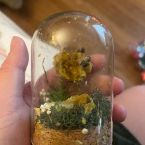 Grace added a photo of their purchase