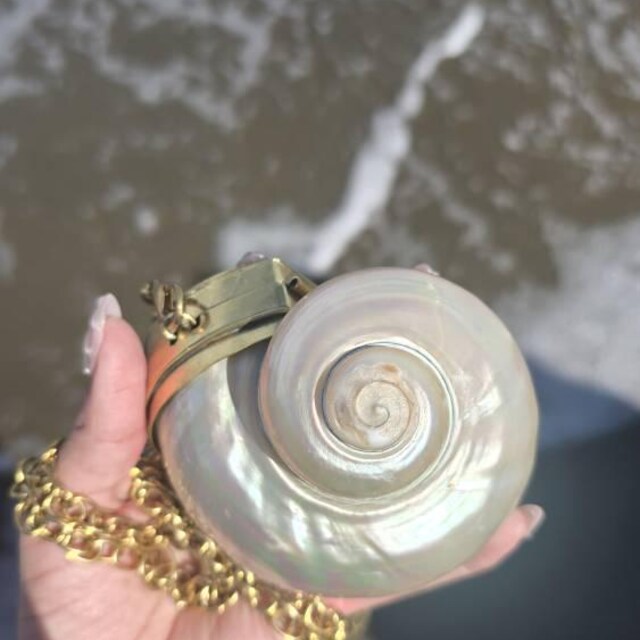Mother of Pearl Shell Bag: Handmade Beach Clutch, Mermaidcore